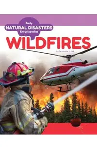 Wildfires