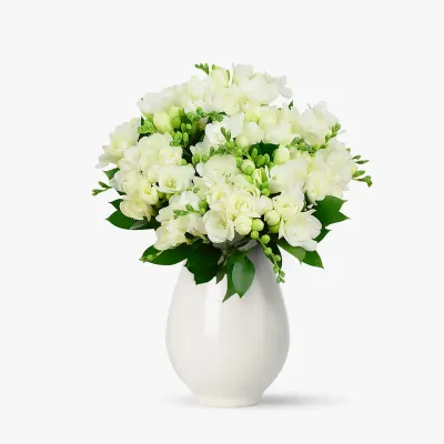 Buchet de 21 frezii albe