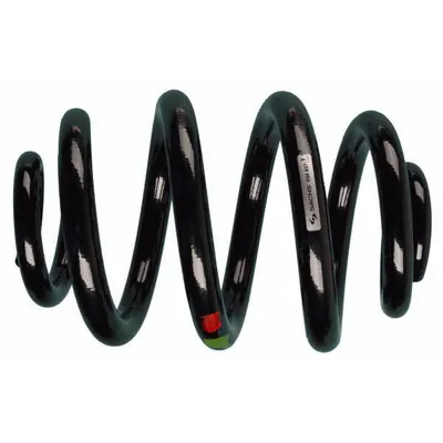 Arc spiral SACHS 994 497