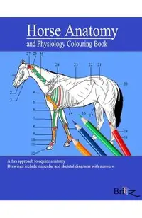 Horse Anatomy and Physiology Colouring Book: A Detailed Guide to Equine Anatomy with Answers Perfect Gift for Veterinary Students, Animal lovers, Adul