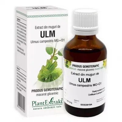 Extract din muguri de ulm, 50ml, PlantExtrakt