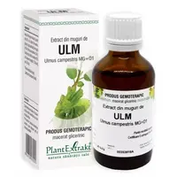 Extract din muguri de ulm, 50ml, PlantExtrakt