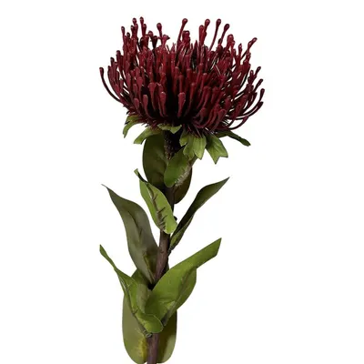 Plantă artificială (înălțime 74 cm) Protea – Ego Dekor