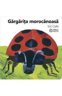 Gargarita morocanoasa