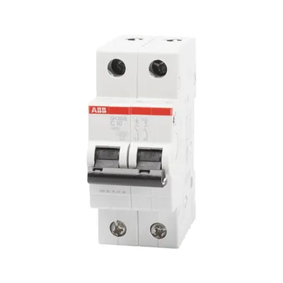 Intrerupator Automat 10A 2P C 4.5Ka SH202-L