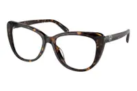 Ralph Lauren RL6232U 5003