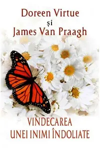 Vindecarea unei inimi îndoliate - Paperback brosat - Doreen Virtue, James Van Praagh