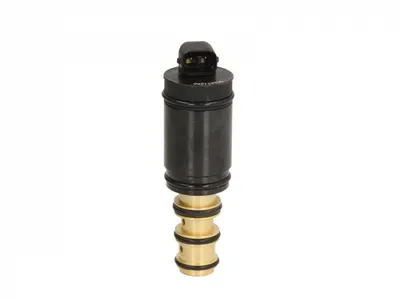 Supapa compresor clima (DENSO 5SE09C 5SE12C)