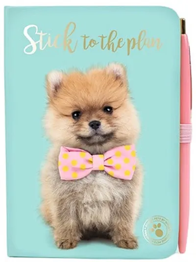 Studio Pets Set școlar - Pompon