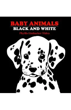 Baby Animals: Black and White
