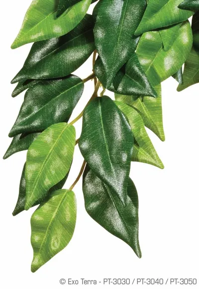 Exo Terra Planta Ficus Small 45 CM PT3030
