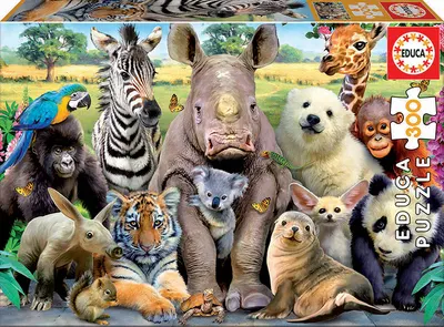 Puzzle cu 300 de piese