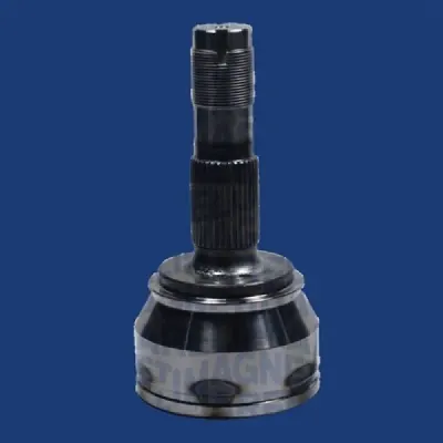 Set articulatie, planetara MAGNETI MARELLI 302015100107