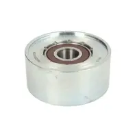 Intinzator curea, curea distributie BTA E22021BTA