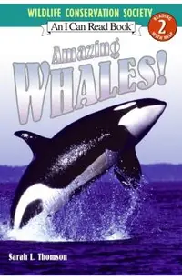 Amazing Whales!