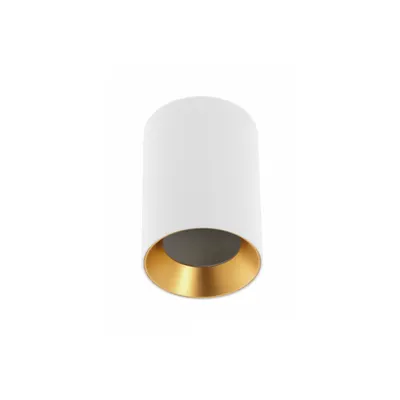 Spot - Ceiling luminaire AERO II, aluminium, 70x100mm, IP20, max. 20W, round, white