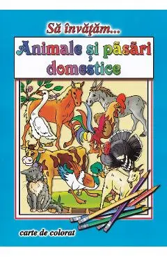 Sa invatam... Animale si pasari domestice. Carte de colorat
