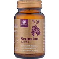Berberine 500mg 60cps