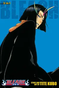 Bleach 3-IN-1, Vol. 13