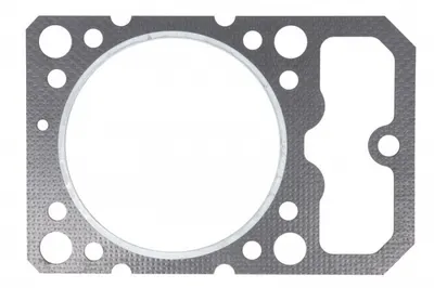 Garnitura chiulasa STEYR WD614.01