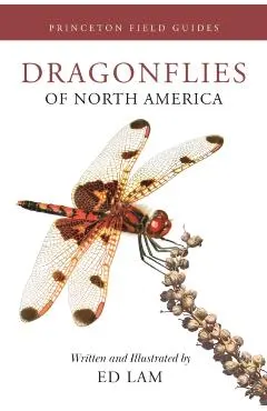Dragonflies of North America - Ed Lam