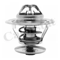 Termostat, lichid racire CALORSTAT by Vernet TH1439.84J