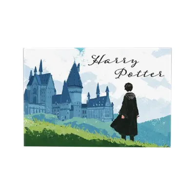 Magnet Standard Harry Potter - Harry & Hogwarts