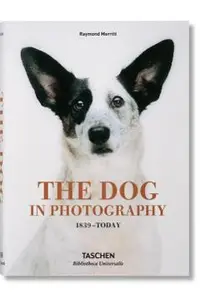 Dog in Photography 1839-Today