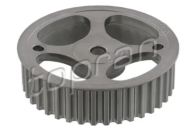 Roata Dintata Ax Came Potrivit Dacia Duster, Logan, Logan Ii, Logan Mcv, Sandero; Opel Vivaro A; Renault Clio Ii, Clio Iii, Fluence, Grand Scenic Ii, Grand Scenic Iii, Kangoo 1.4-2.0 04.98