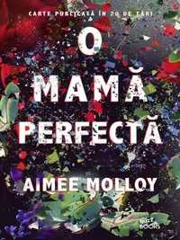 O mama perfectă - Paperback brosat - Aimee Molloy