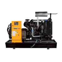 Generator Diesel Fara Carcasa Dg55/44 44kw