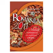 Romania 2011: starea economica in malaxorul crizei