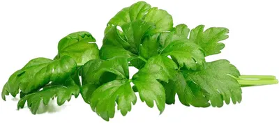 Semințe Click and Grow - Celery leaf, 3 rezerve