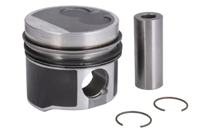 Piston 79,51 (std) Potrivit Audi 80 B4; Seat Cordoba, Ibiza Ii, Toledo I; Vw California T4 Camper, Golf Iii, Passat B3 B4, Transporter T4, Vento 1.9d 03.91-04.03