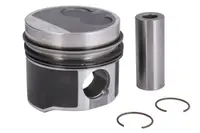Piston 79,51 (std) Potrivit Audi 80 B4; Seat Cordoba, Ibiza Ii, Toledo I; Vw California T4 Camper, Golf Iii, Passat B3 B4, Transporter T4, Vento 1.9d 03.91-04.03