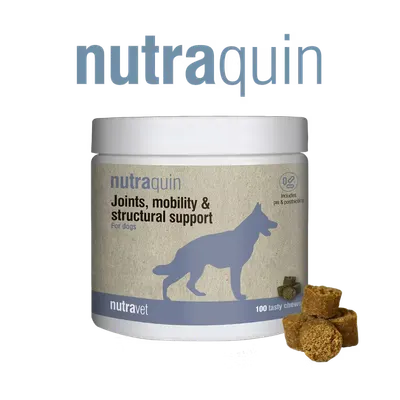 Nutravet Nutraquin, Caini, 50 chews