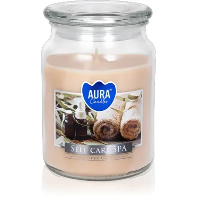 BISPOL Sef Care SPA lumânare parfumată 500 ml