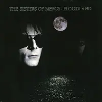 Floodland - Vinyl