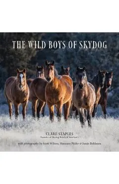 The Wild Boys of Skydog