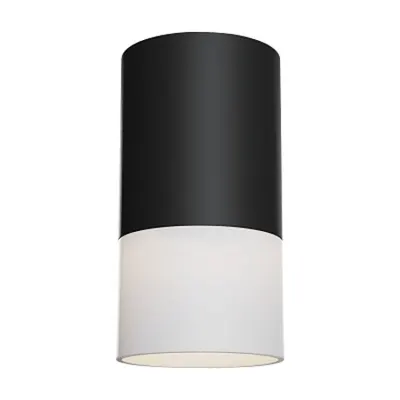 Corp de iluminat pentru tavan Pauline - H(min) 131mm, H(max) 131mm, ⌀ 64mm , Grey, 1 X GU10 (10W), Aluminum, Acrylic, 0.23kg