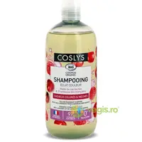 Sampon pentru Ingrijire Par Vopsit cu Ulei de Cirese si Otet de Zmeura Bio 500ml