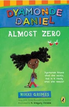 Almost Zero: A Dyamonde Daniel Book