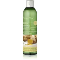 Bottega Verde Zenzero sampon pentru curatare pentru intarirea parului 250 ml