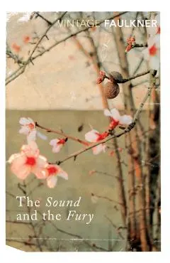 Sound And The Fury