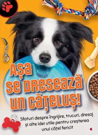 Așa se dresează un cățeluș! - Hardcover