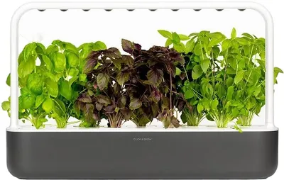 Smart ghiveci Click and Grow - Smart Garden 9, 13 W, gri