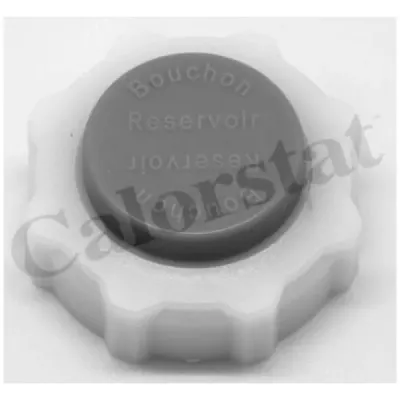 Buson, vas expansiune CALORSTAT by Vernet RC0030
