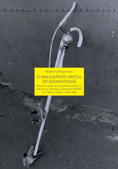 O singurătate destul de zgomotoasă - Paperback brosat - Mădălina Brașoveanu