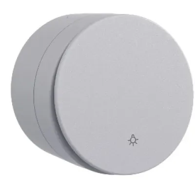 Intrerupator cu Revenire (BB) PT xOne Ovivo OV00934, 10A, 250V, IP20, gri