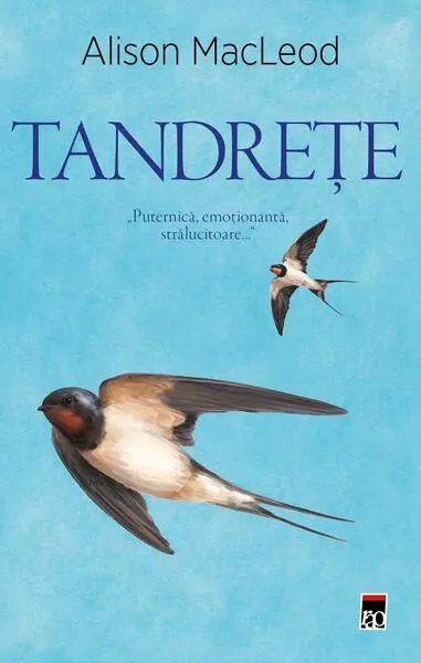 Tandrețe - Paperback brosat - Alison Macleod